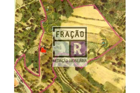 Terra a Orjais, Castelo Branco, Orjais - € 80.000 | Ref: Ter_1 - foto 2