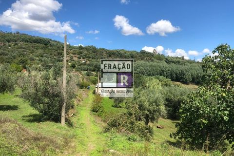 Terra a Orjais, Castelo Branco, Orjais - € 80.000 | Ref: Ter_1 - foto 4