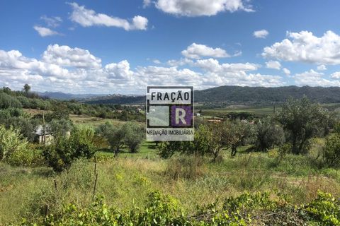 Terra a Orjais, Castelo Branco, Orjais - € 80.000 | Ref: Ter_1 - foto 9