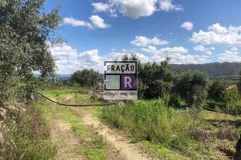 Terra a Orjais, Castelo Branco, Orjais - € 80.000 | Ref: Ter_1 - foto 13