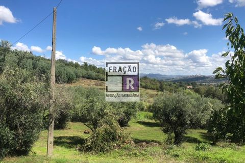 Terra a Orjais, Castelo Branco, Orjais - € 80.000 | Ref: Ter_1 - foto 14