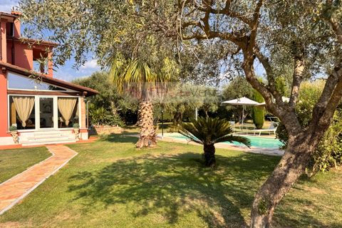 Villa a Seravezza, Lucca, Seravezza - € 1.150.000 | Ref: 3205 - foto 40