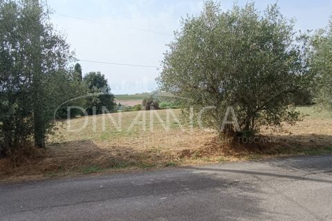 Villa a Vinci, Florence, Vinci - € 195.000 | Ref: 1003-263L - foto 10