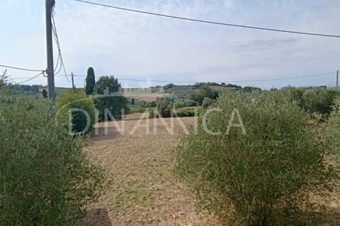 Villa a Vinci, Florence, Vinci - € 195.000 | Ref: 1003-263L - foto 15