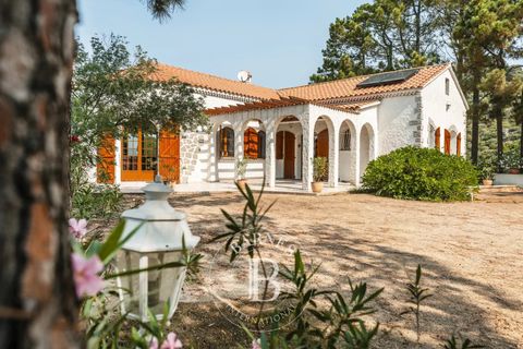 Villa i Ajaccio, Corse-du-Sud, Ajaccio - € 1.890.000 | Ref: RV1963 - foto 20