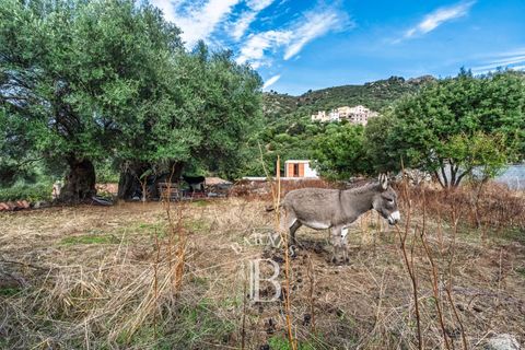 Villa i Calvi, Haute-Corse, Calvi - € 880.000 | Ref: RV1969 - foto 18