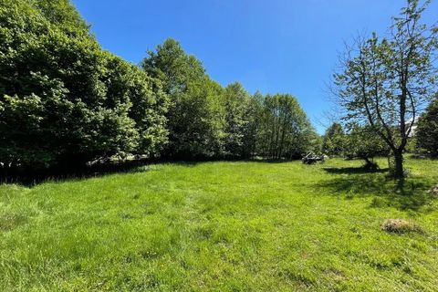 Villa a Alligny-en-Morvan, Nievre, Alligny-en-Morvan - € 179.000 | Ref: 4709 - foto 5