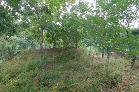 Byhus i Zocca, Modena, Zocca - € 54.000 | Ref: 3004 - foto 7
