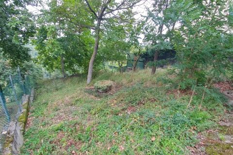 Byhus i Zocca, Modena, Zocca - € 54.000 | Ref: 3004 - foto 27