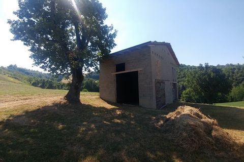Villa a Zocca, Modena, Zocca - € 92.000 | Ref: 3006 - foto 8