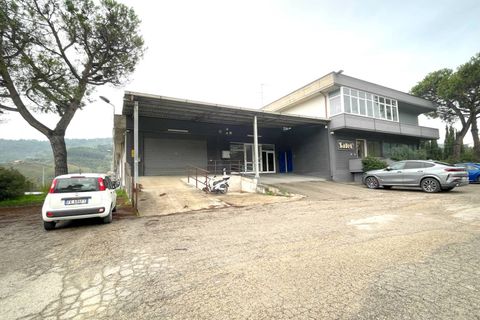 Erhvervsejendom i Ripatransone, Ascoli Piceno, Ripatransone - € 600.000 | Ref: 33599 - foto 3