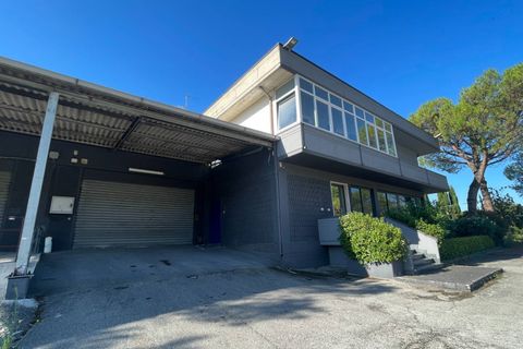 Erhvervsejendom i Ripatransone, Ascoli Piceno, Ripatransone - € 600.000 | Ref: 33599 - foto 34