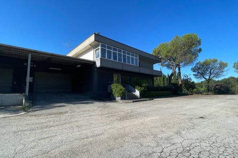 Erhvervsejendom i Ripatransone, Ascoli Piceno, Ripatransone - € 600.000 | Ref: 33599 - foto 38