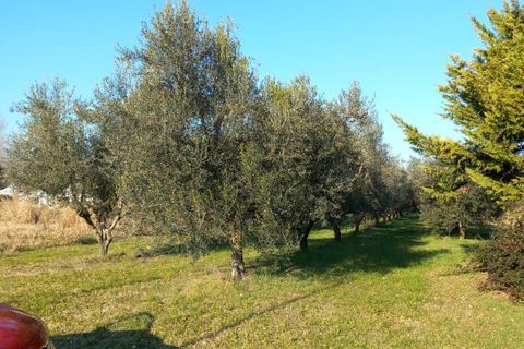 Terra a Staranzano, Gorizia, Staranzano - € 32.000 | Ref: 3040 - foto 2