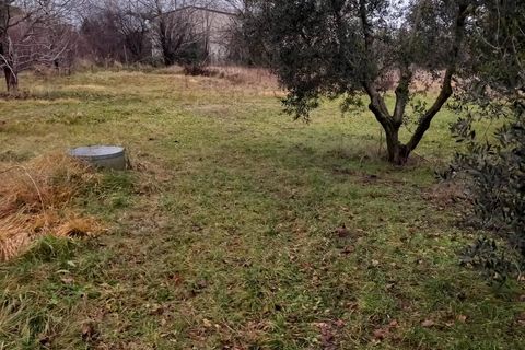 Terra a Staranzano, Gorizia, Staranzano - € 32.000 | Ref: 3040 - foto 5