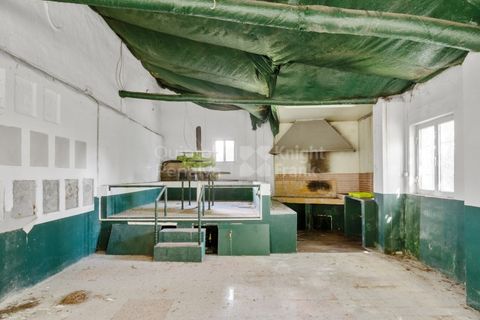 Villa i Mafra, Lisbon, Mafra - € 690.000 | Ref: PROP-33272 - foto 16