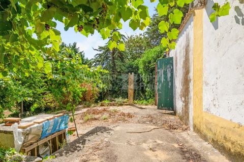 Villa i Mafra, Lisbon, Mafra - € 690.000 | Ref: PROP-33272 - foto 21