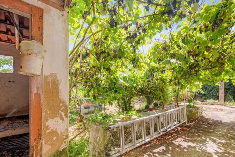 Villa i Mafra, Lisbon, Mafra - € 690.000 | Ref: PROP-33272 - foto 22