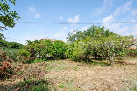 Villa i Mafra, Lisbon, Mafra - € 690.000 | Ref: PROP-33272 - foto 23