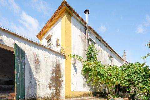 Villa i Mafra, Lisbon, Mafra - € 690.000 | Ref: PROP-33272 - foto 24