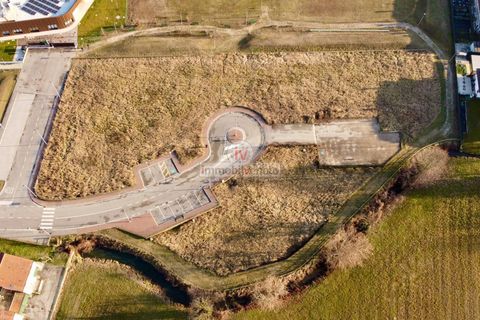 Terra a Lonigo, Vicenza, Lonigo - € 550.000 | Ref: 829 - foto 2