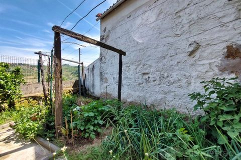 Villa i Lamego, Viseu, Lamego - € 270.000 | Ref: LMG_4036 - N - foto 11