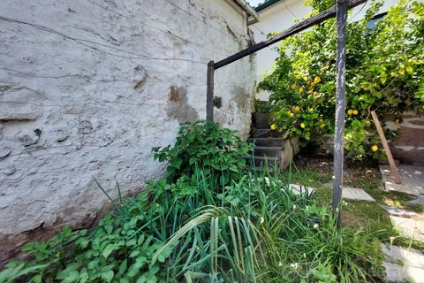 Villa i Lamego, Viseu, Lamego - € 270.000 | Ref: LMG_4036 - N - foto 12