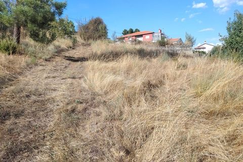 Helårsgrund i Tarouca, Viseu, Tarouca - € 149.950 | Ref: LMG_4058 - N - foto 4