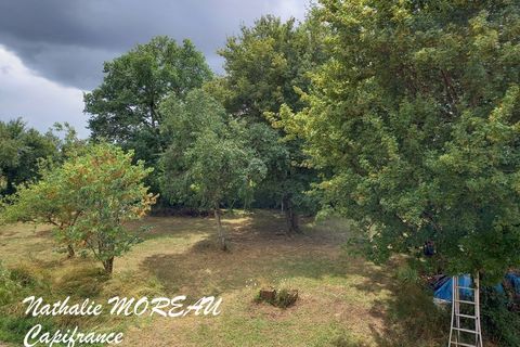 Farm hus i Diancey, Cote-d'Or, Diancey - € 175.000 | Ref: 340938100369 - foto 46