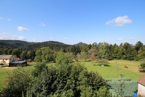 Villa i Dabo, Moselle, Dabo - € 159.900 | Ref: 340934474123 - foto 12