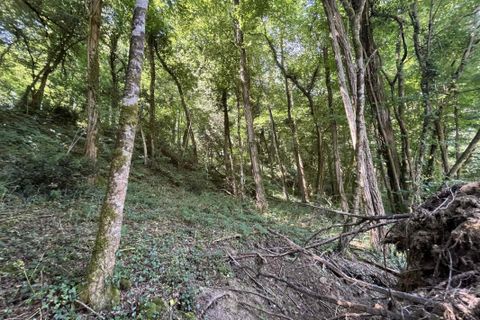 Landejendom i Darnac, Haute-Vienne, Darnac - € 195.000 | Ref: 4F24A5AC0CB74E95 - foto 5