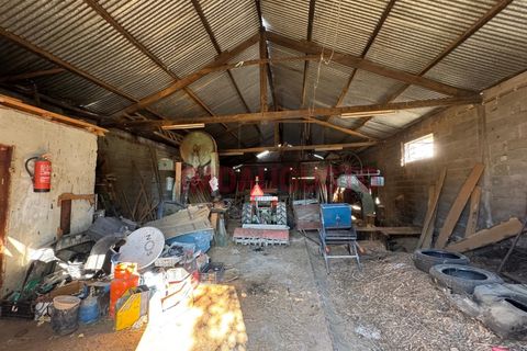 Erhvervsejendom i Bendada, Guarda, Bendada - € 57.500 | Ref: MAG_2312 - foto 2