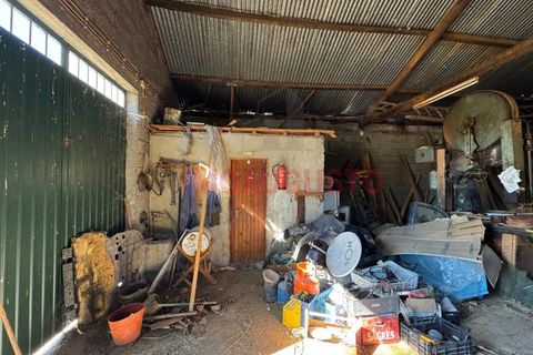 Erhvervsejendom i Bendada, Guarda, Bendada - € 57.500 | Ref: MAG_2312 - foto 6