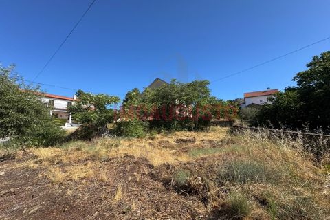 Erhvervsejendom i Bendada, Guarda, Bendada - € 57.500 | Ref: MAG_2312 - foto 7