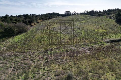 Helårsgrund i Alenquer, Lisbon, Alenquer - € 115.000 | Ref: SÒL_138 - foto 8