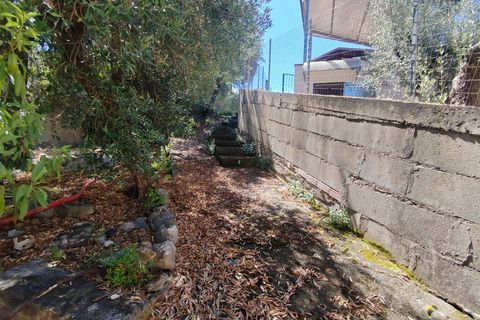 Villa i Sonnino, Latina, Sonnino - € 139.000 | Ref: 2096 - foto 33