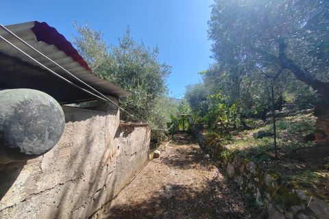 Villa i Sonnino, Latina, Sonnino - € 139.000 | Ref: 2096 - foto 34