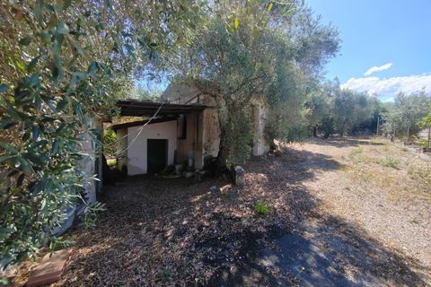 Villa i Sonnino, Latina, Sonnino - € 139.000 | Ref: 2096 - foto 37