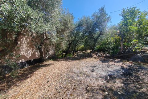 Villa i Sonnino, Latina, Sonnino - € 139.000 | Ref: 2096 - foto 40