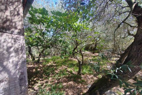 Villa i Sonnino, Latina, Sonnino - € 139.000 | Ref: 2096 - foto 41