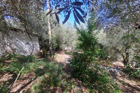 Villa i Sonnino, Latina, Sonnino - € 139.000 | Ref: 2096 - foto 42