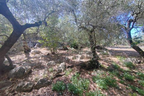 Villa i Sonnino, Latina, Sonnino - € 139.000 | Ref: 2096 - foto 43