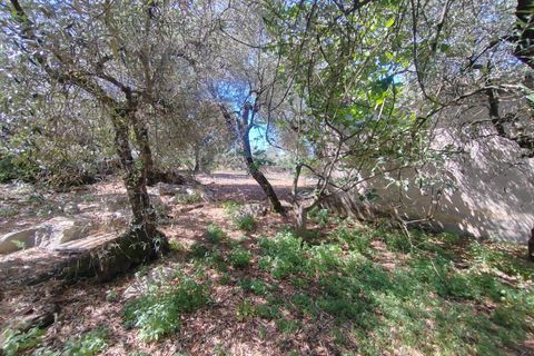 Villa i Sonnino, Latina, Sonnino - € 139.000 | Ref: 2096 - foto 44