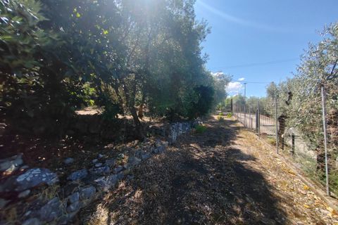 Villa i Sonnino, Latina, Sonnino - € 139.000 | Ref: 2096 - foto 45
