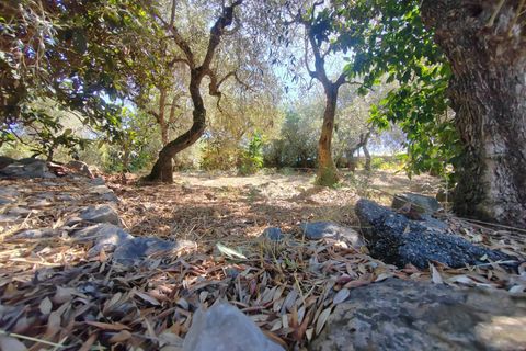 Villa i Sonnino, Latina, Sonnino - € 139.000 | Ref: 2096 - foto 46