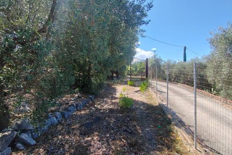 Villa i Sonnino, Latina, Sonnino - € 139.000 | Ref: 2096 - foto 47