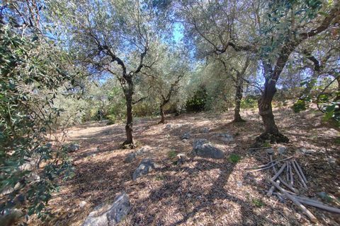 Villa i Sonnino, Latina, Sonnino - € 139.000 | Ref: 2096 - foto 48