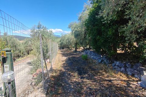 Villa i Sonnino, Latina, Sonnino - € 139.000 | Ref: 2096 - foto 49