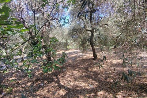 Villa i Sonnino, Latina, Sonnino - € 139.000 | Ref: 2096 - foto 50