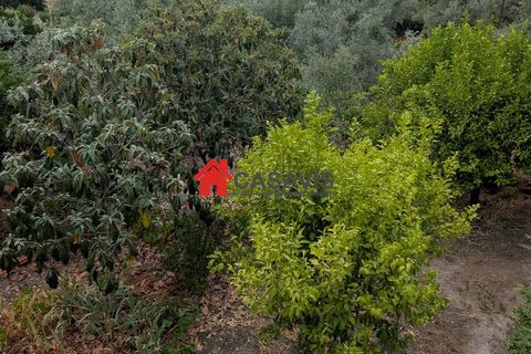 Farm hus i Nelas, Viseu, Nelas - € 180.000 | Ref: CA456660 - foto 2